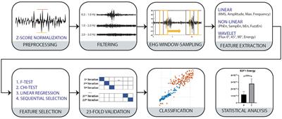 Enhancing classification of preterm-term birth using continuous wavelet transform and entropy-based methods of electrohysterogram signals